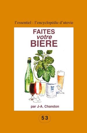 Cover of the book Faites votre bière by Danielle Chang