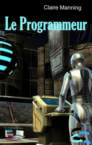 Cover of the book Le Programmeur by Normand Jubinville