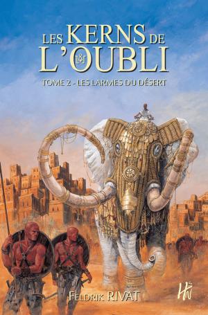 Cover of the book Les larmes du désert by Suzanne Vallières