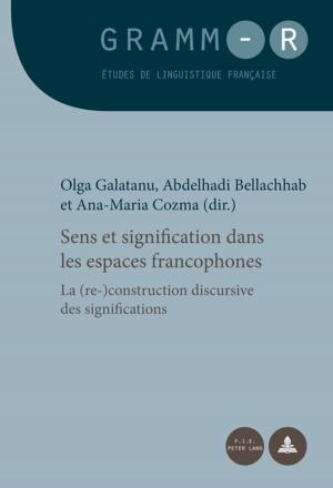 Cover of the book Sens et signification dans les espaces francophones by 