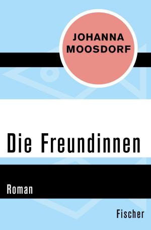 Cover of the book Die Freundinnen by José Manuel Fajardo