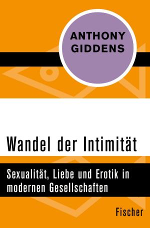 bigCover of the book Wandel der Intimität by 