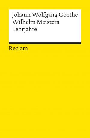 Cover of the book Wilhelm Meisters Lehrjahre by Rainer Moritz