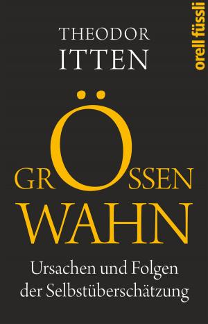 Cover of the book Größenwahn by Joseph Hanimann
