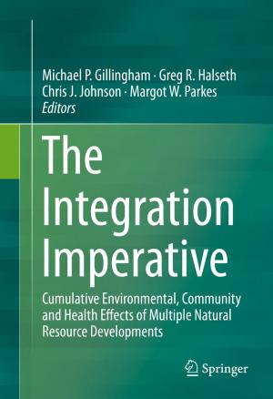 Cover of the book The Integration Imperative by Yuan Luo, Lin Gao, Jianwei Huang