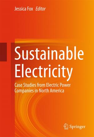 Cover of the book Sustainable Electricity by Ilan Bijaoui