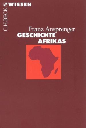 Book cover of Geschichte Afrikas