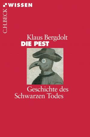 Cover of the book Die Pest by Hermann Rumschöttel
