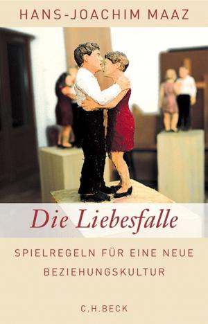 Cover of the book Die Liebesfalle by Mehdi Bazargan