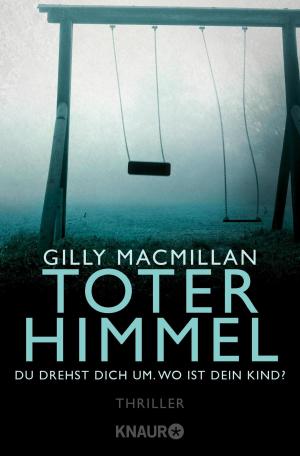 Cover of the book Toter Himmel by Daniel Holbe