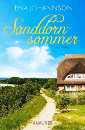 Cover of the book Sanddornsommer by Gilly Macmillan