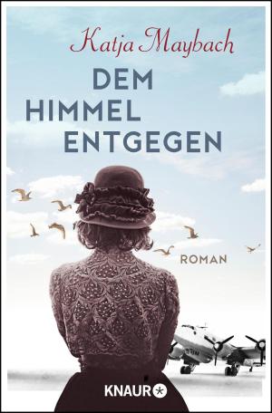 Cover of the book Dem Himmel entgegen by Holger Schlageter, Patrick Hinz