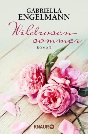 Cover of the book Wildrosensommer by Andreas Franz