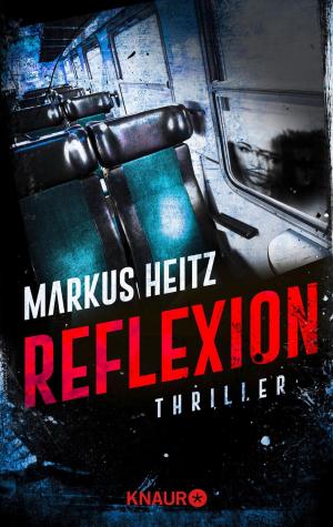 Cover of the book Reflexion by Michael Böckler
