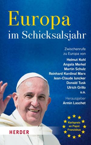 Book cover of Europa im Schicksalsjahr