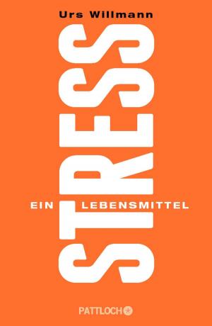 Cover of the book Stress by Reimer Gronemeyer