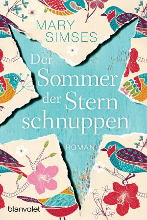 Book cover of Der Sommer der Sternschnuppen