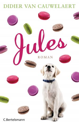 Cover of the book Jules by Peter Arens, Stefan Brauburger