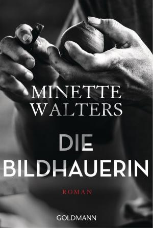 Book cover of Die Bildhauerin