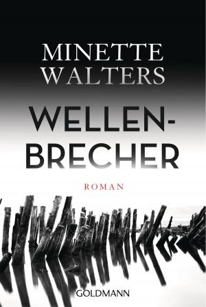 Book cover of Wellenbrecher