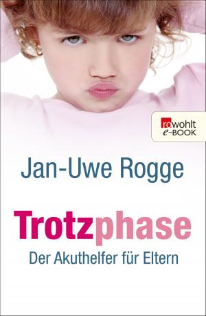 Cover of the book Trotzphase by Ehrhard Behrends