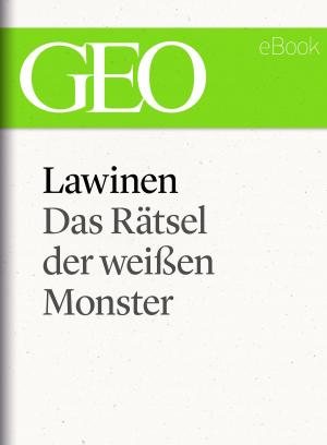 Cover of Lawinen: Das Rätsel der weißen Monster (GEO eBook Single)
