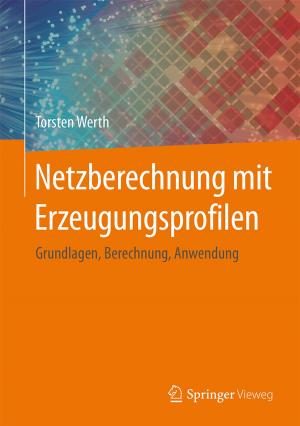 Cover of the book Netzberechnung mit Erzeugungsprofilen by Dieter S. Weiler, Kai Ludwigs, Bernd Lindenberg, Björn Jopen
