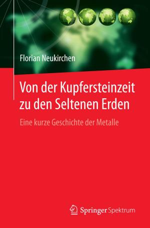 Book cover of Von der Kupfersteinzeit zu den Seltenen Erden