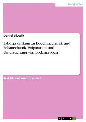 Cover of the book Laborpraktikum zu Bodenmechanik und Felsmechanik. Präparation und Untersuchung von Bodenproben by Martina Hugo