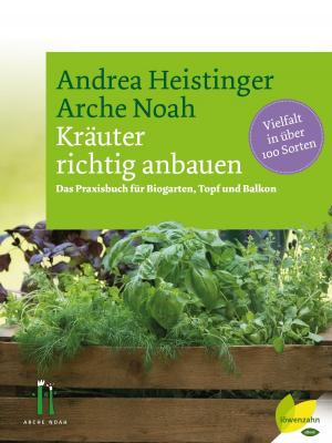 Cover of the book Kräuter richtig anbauen by Rosemarie Wallner