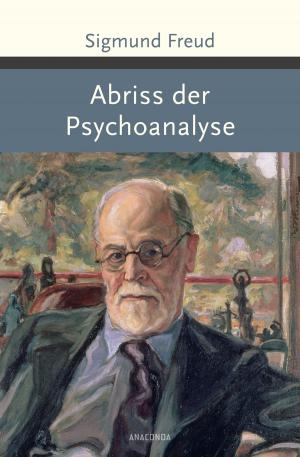 Book cover of Abriss der Psychoanalyse