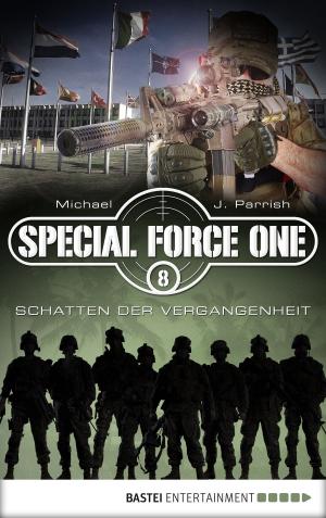 Cover of the book Special Force One 08 by Michael Reid