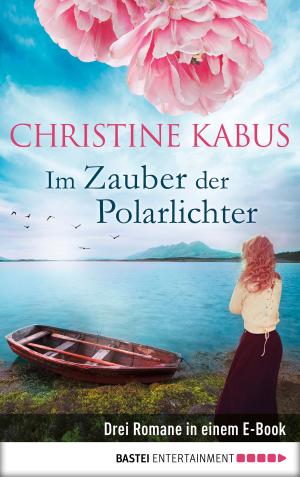 Book cover of Im Zauber der Polarlichter