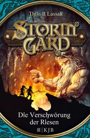 Book cover of Stormgard: Die Verschwörung der Riesen