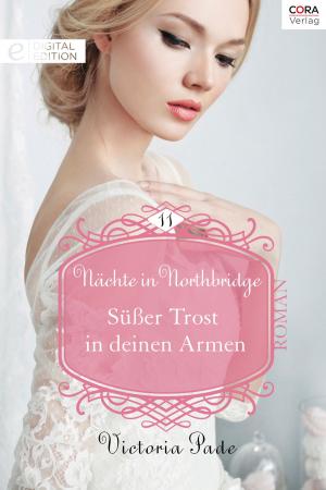 Cover of the book Süßer Trost in deinen Armen by Alisa JS, T. Owen Stark