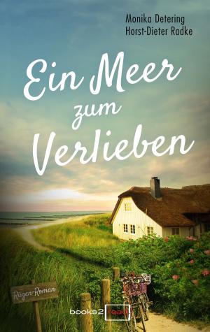 Cover of the book Ein Meer zum Verlieben by Michelle Rowen