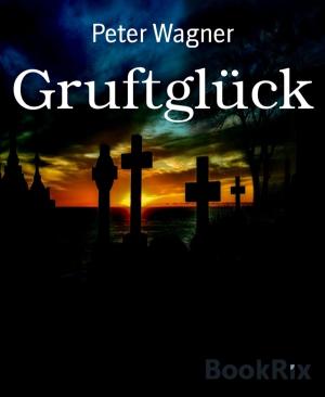 Cover of the book Gruftglück by Branko Perc