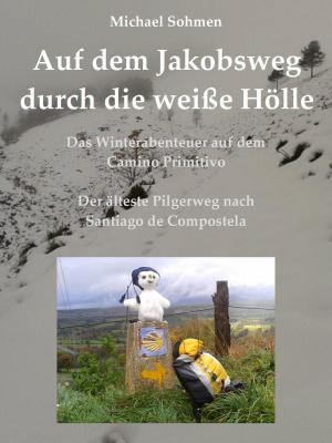 Cover of the book Auf dem Jakobsweg durch die weiße Hölle by Alina Frey