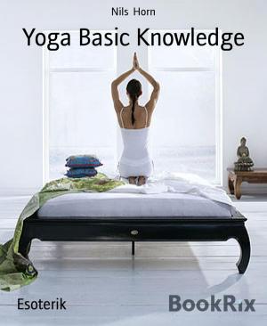 Cover of the book Yoga Basic Knowledge by Elke Immanuel