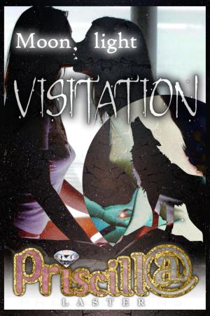 Cover of the book Moonlight Visitation by Faith mimbs