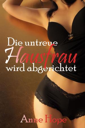 Book cover of Die untreue Hausfrau wird abgerichtet