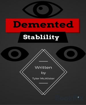 Cover of the book Demented Stability by Mumin Godwin