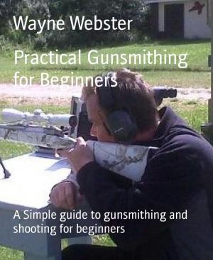 Cover of the book Practical Gunsmithing for Beginners by Rudyard Kipling