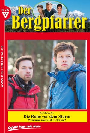 Cover of the book Der Bergpfarrer 393 – Heimatroman by Alastor Velazquez