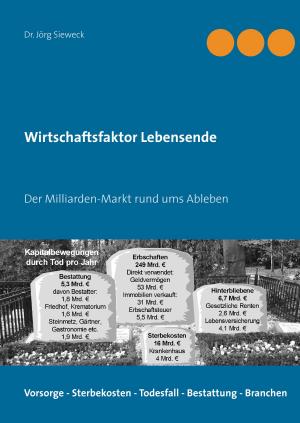 Cover of the book Wirtschaftsfaktor Lebensende by Klaus H. Wachtmann