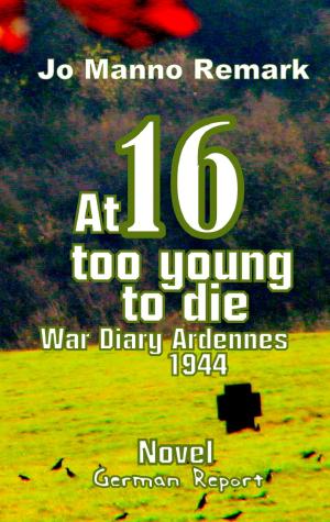 Cover of the book At 16 too young to die by E. T. A. Hoffmann