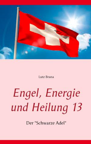bigCover of the book Engel, Energie und Heilung 13 by 