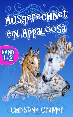 Cover of the book Ausgerechnet ein Appaloosa (Band 1 und 2) by Stefan Wahle