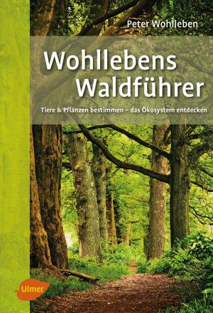 Book cover of Wohllebens Waldführer