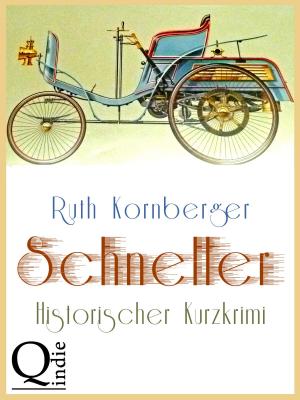 Cover of the book Schneller by Jörg Becker
